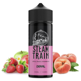 Derail by Steam Train 24/120ml Flavor Shot