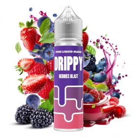 Berries Blast by Omerta Drippy 20/60ml Flavor Shot